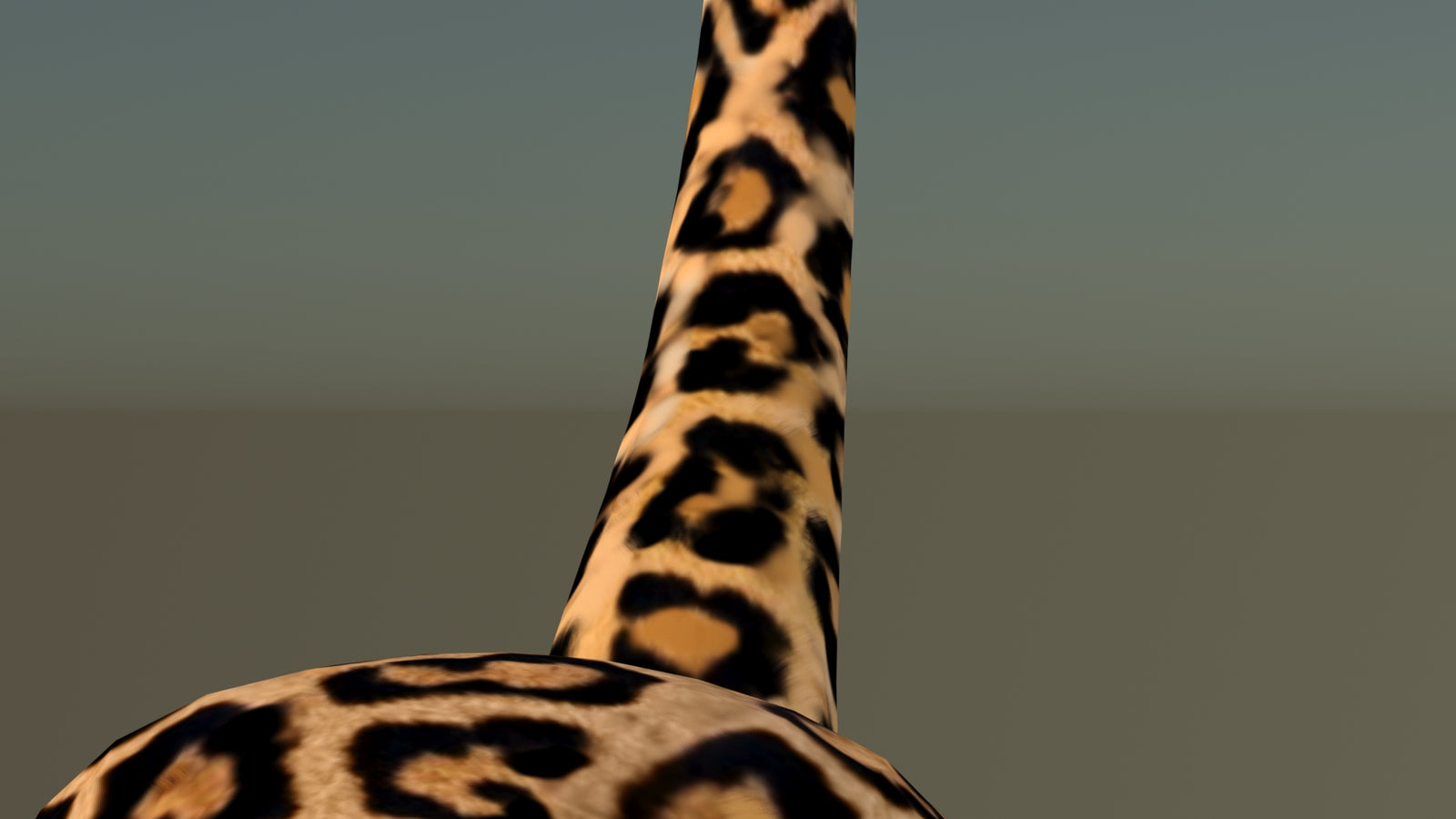 Leopard 3D Model Animated 360° view 6 frame 52