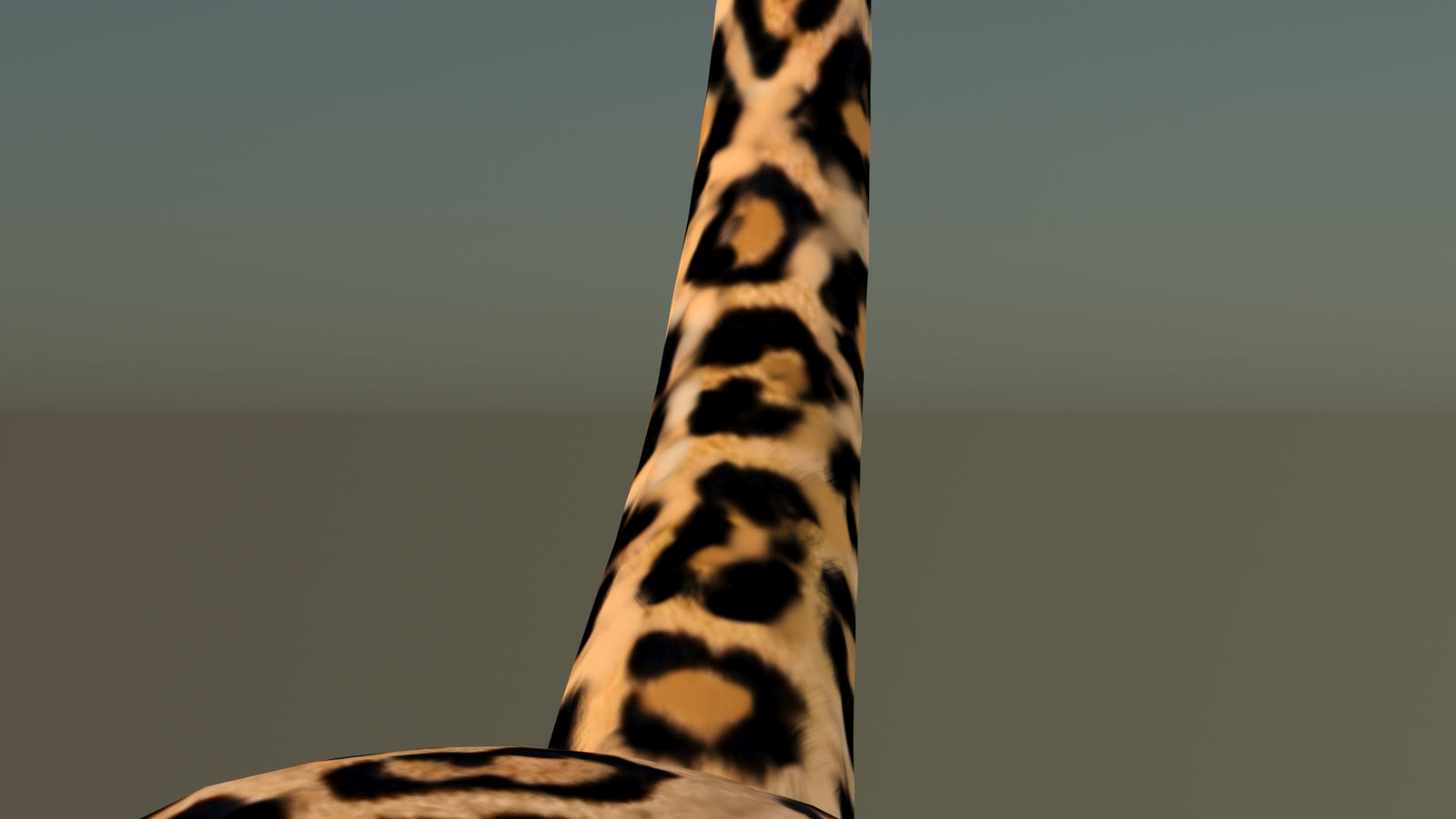 Leopard 3D Model Animated 360° view 6 frame 53