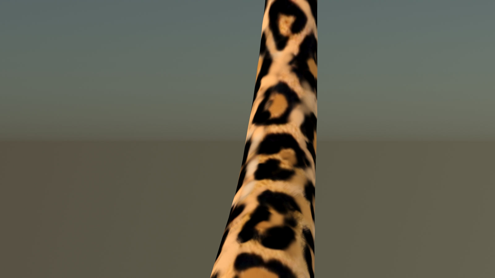Leopard 3D Model Animated 360° view 6 frame 55