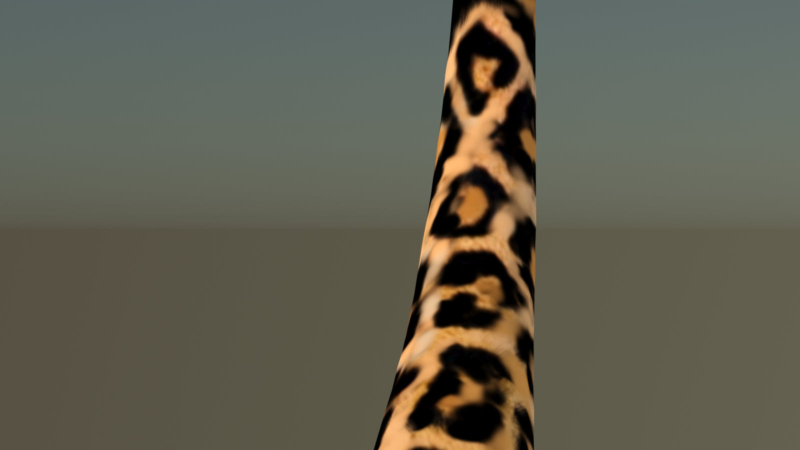 Leopard 3D Model Animated 360° view 6 frame 56