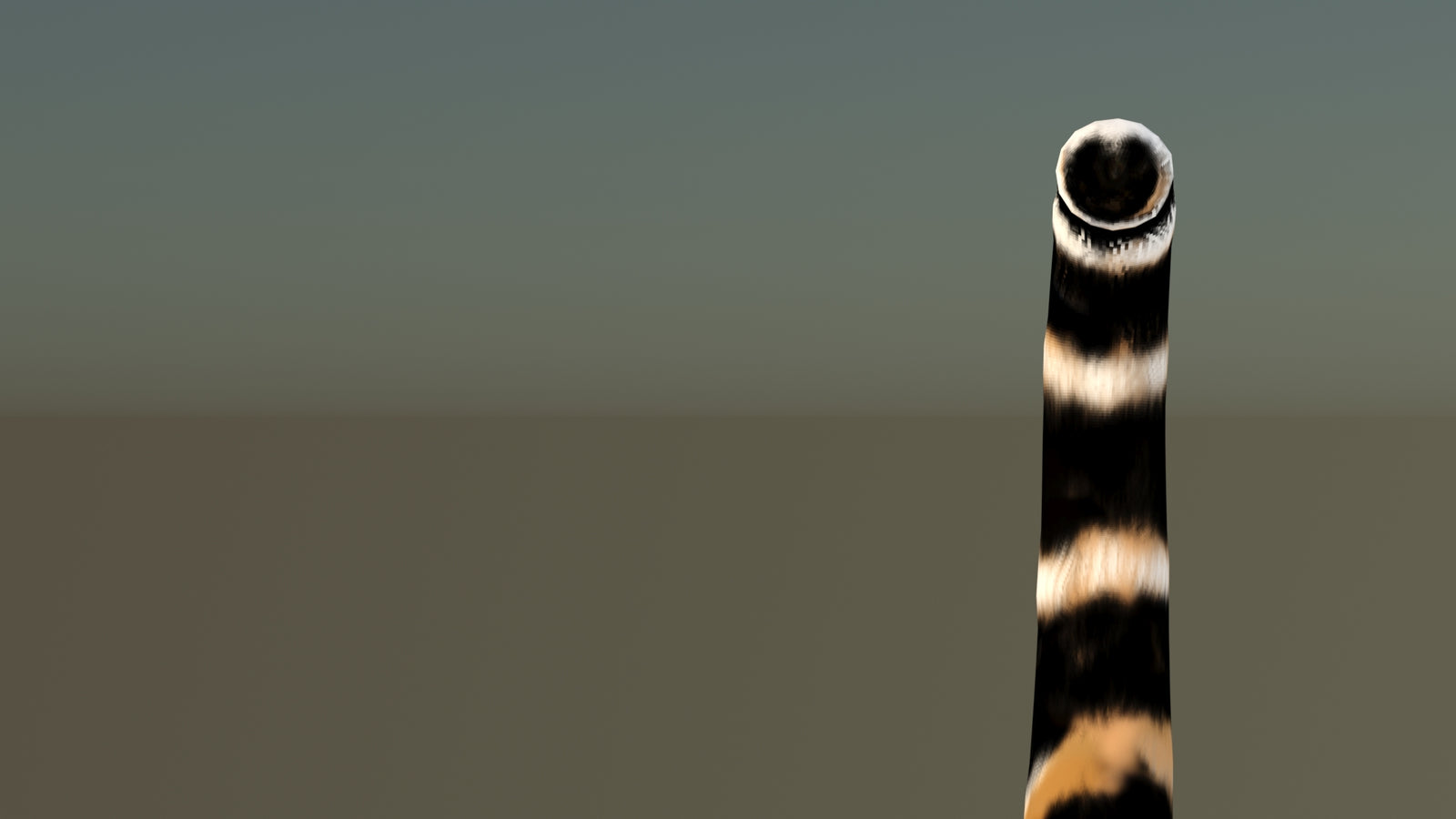 Leopard 3D Model Animated 360° view 6 frame 62