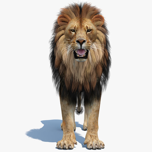 Realistic lion 3D Model