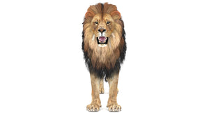 Realistic Lion 3D Model download head close up Thumbnail