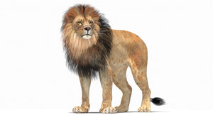 Rigged Lion 3D Model - Polygonal Mane  Thumbnail