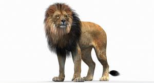 Rigged Lion 3D Model - Polygonal Mane for Download - V-ray Thumbnail