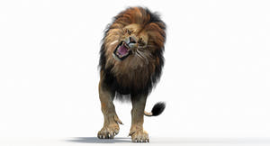 Lion 3D Model roaring on a white background Thumbnail