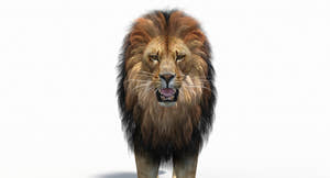 Close-up of lion head with polygonal mane hair cards — open-mouth Thumbnail