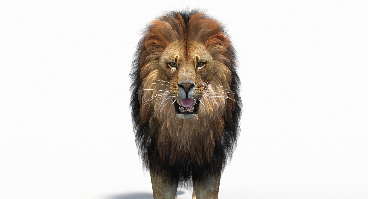 Close-up of lion head with polygonal mane hair cards — open-mouth