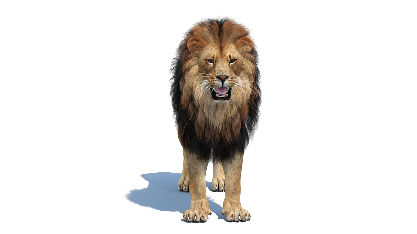 Lion 3D Model 360° view 1 frame 2