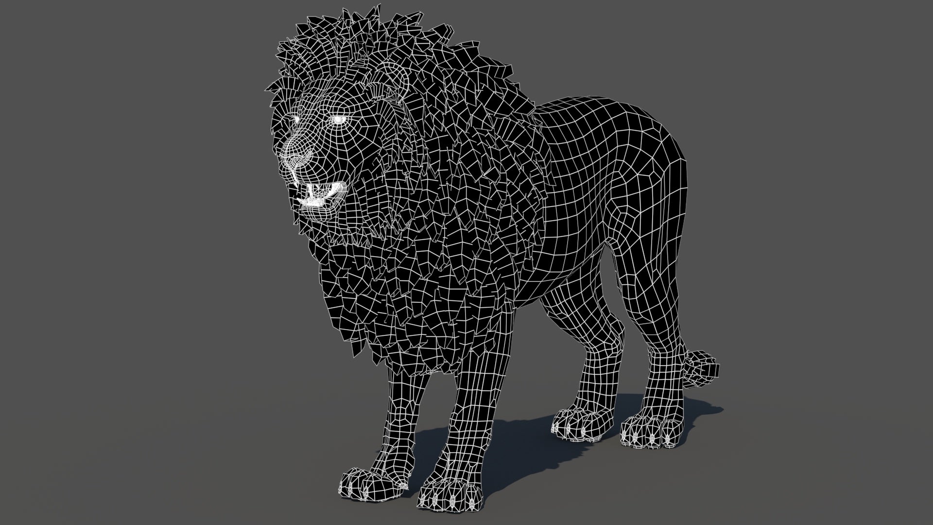 Lion 3D model wireframe view subdivision level 0
