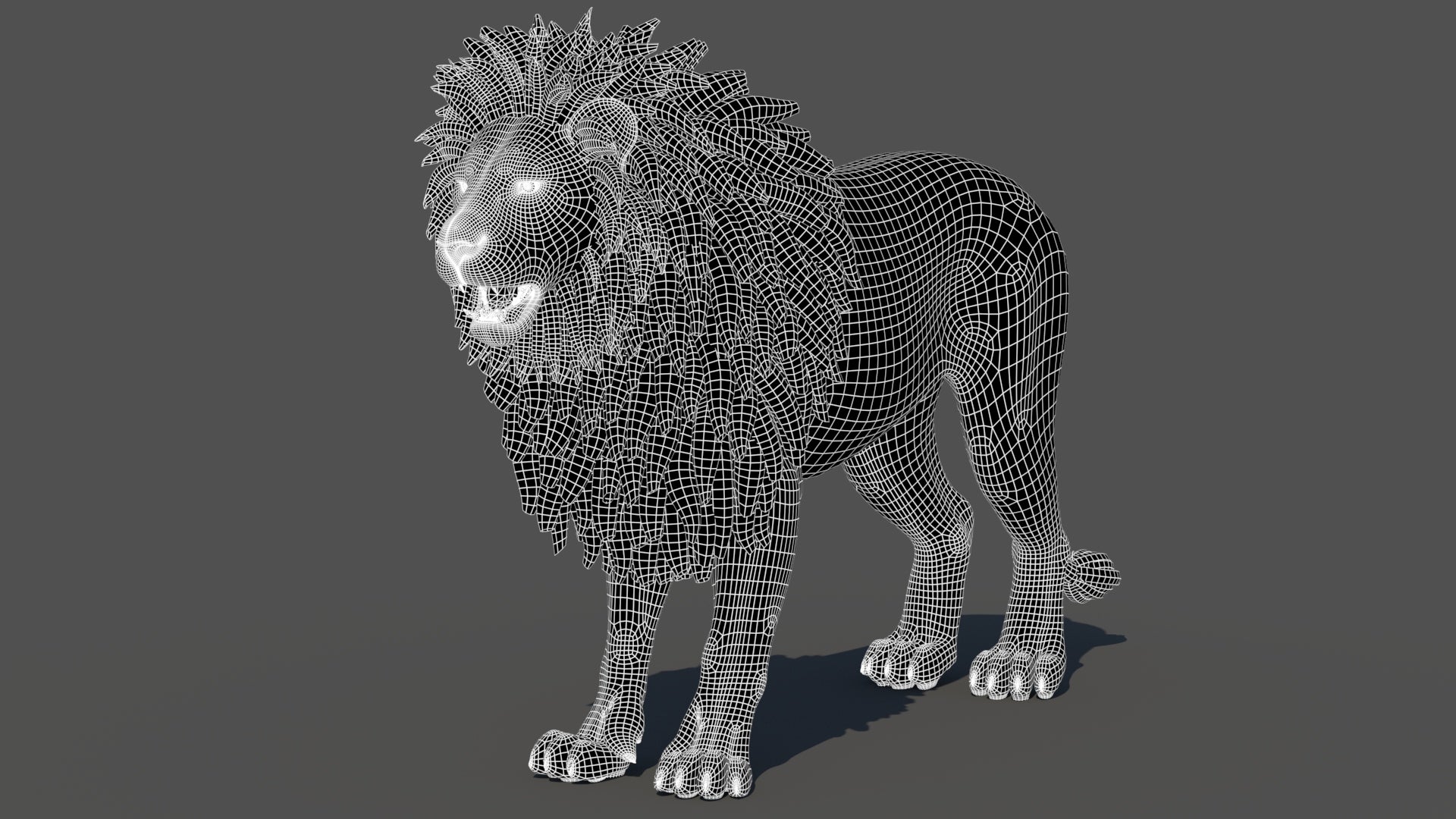 Lion 3D model wireframe view subdivision level 1