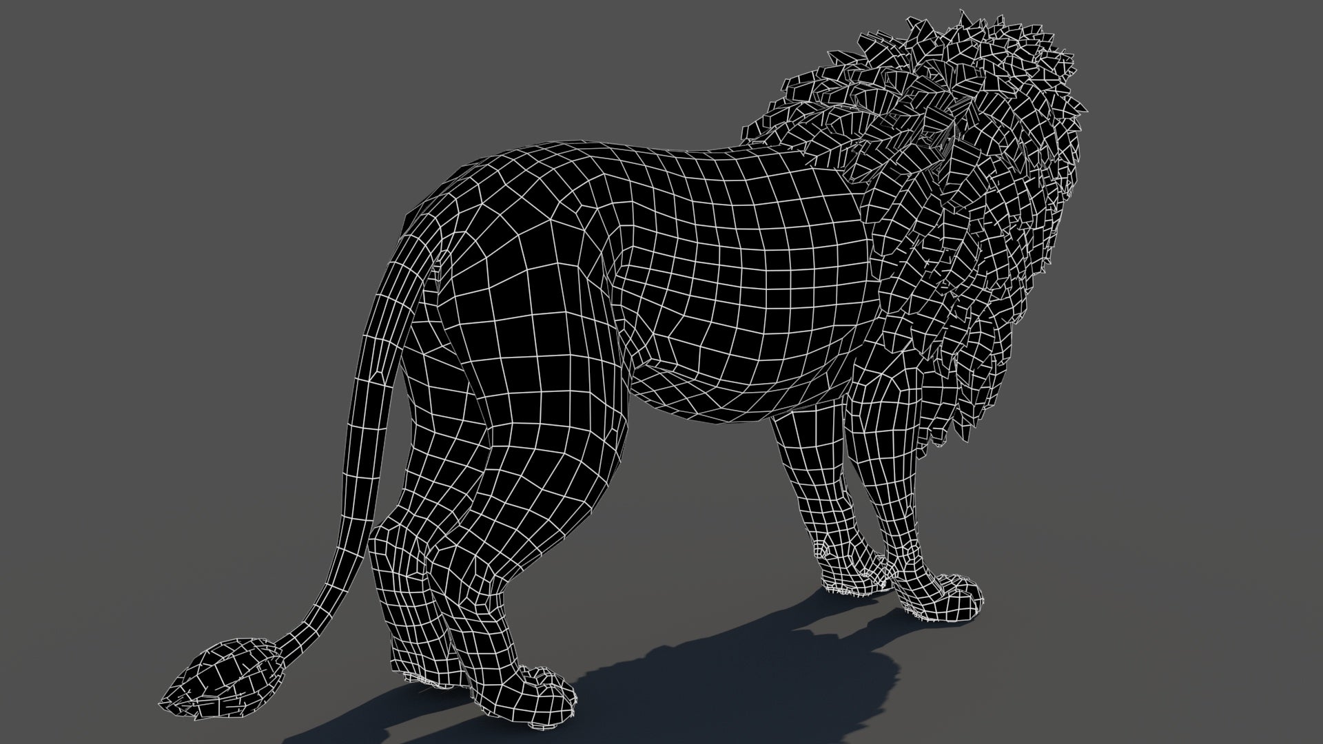 Lion 3D Model rear wireframe view subdivision 0