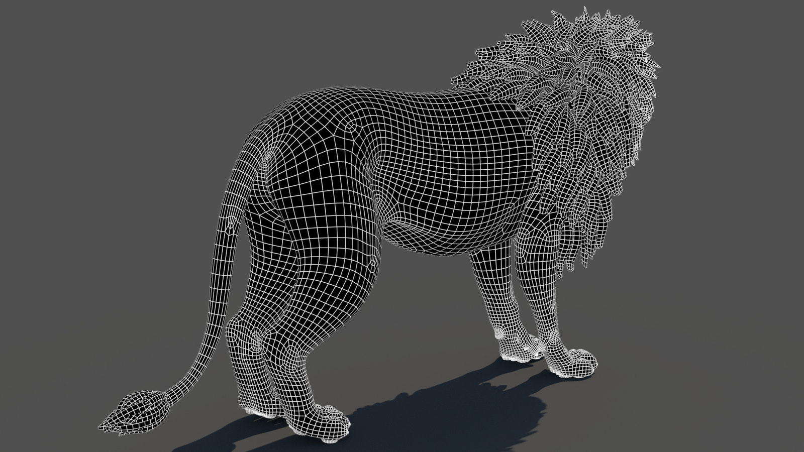 Lion 3D Model rear wireframe view subdivision 1