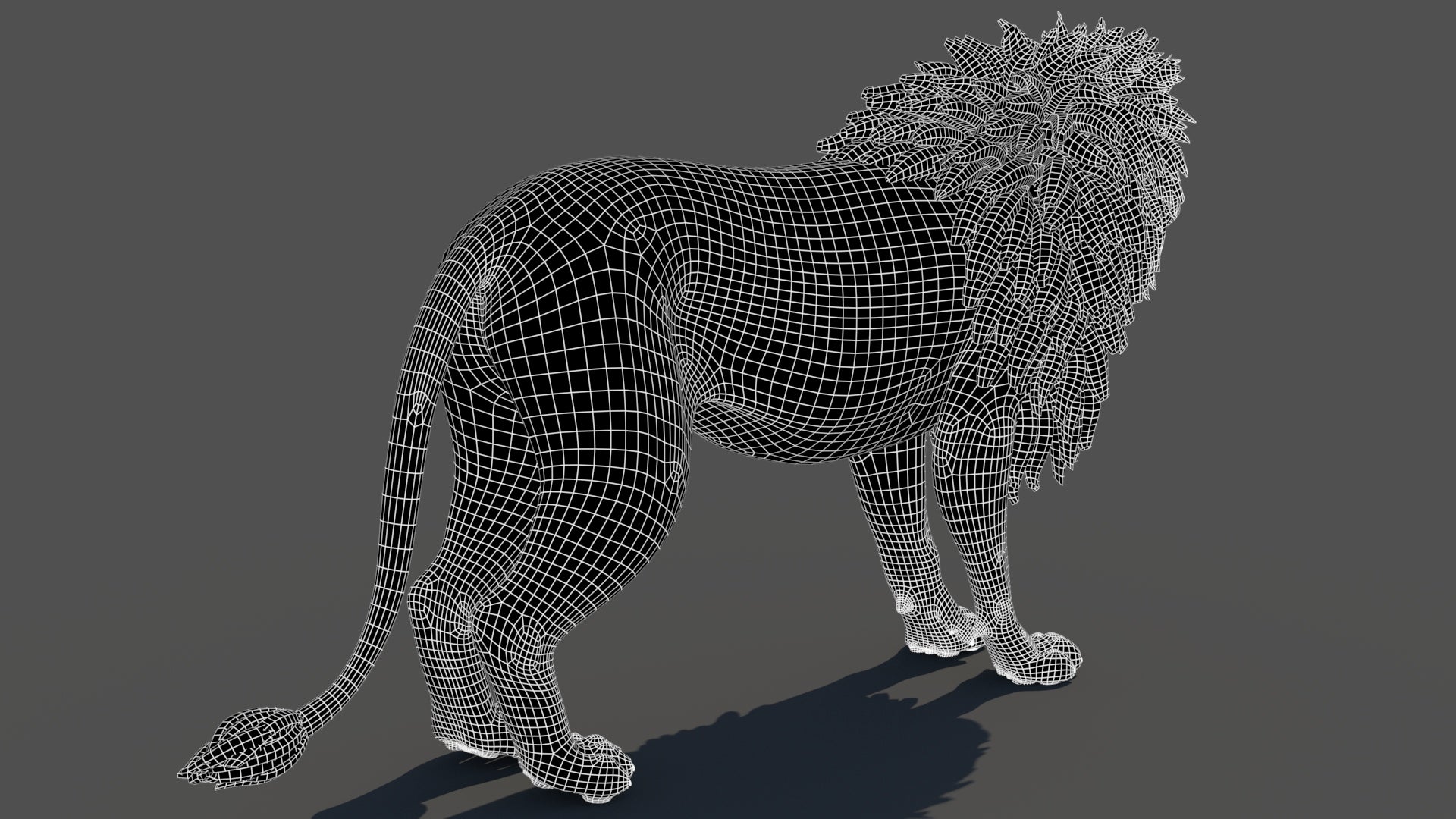 Lion 3D Model rear wireframe view subdivision 1