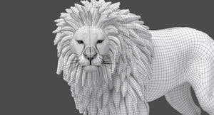 Rigged Lion 3D Model - Head Close Up With Polygonal Mane Wireframe View Subdivision Level 1 Thumbnail