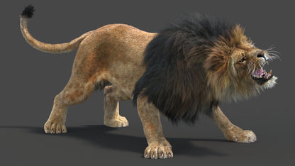 Rigged Lion 3D Model Fur