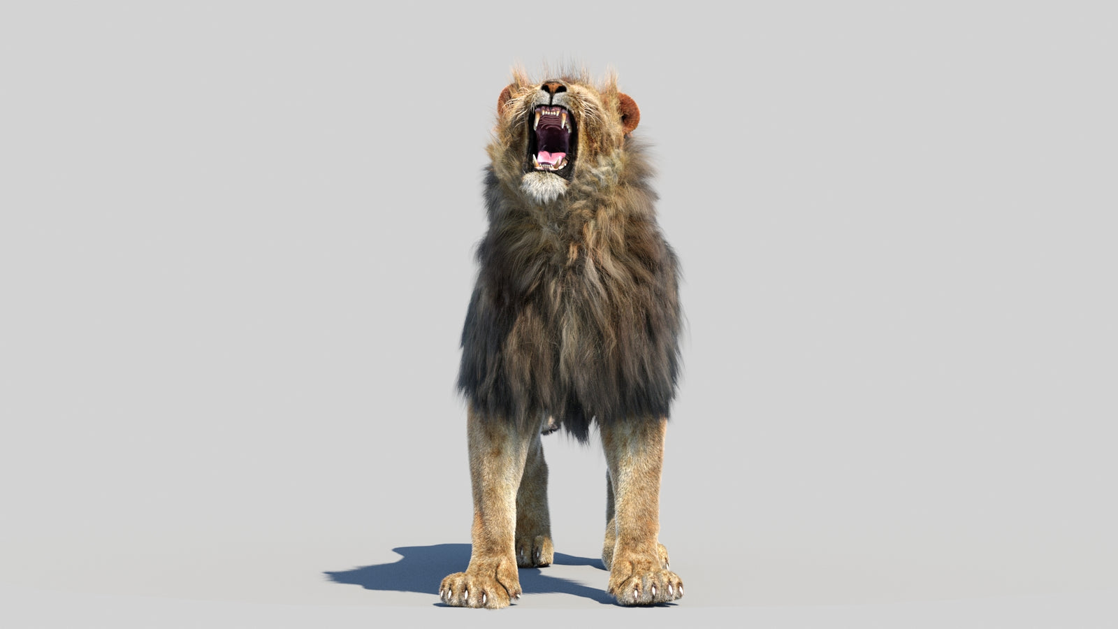 Animated Lion 3D Model Fur 360° view 6 frame 18