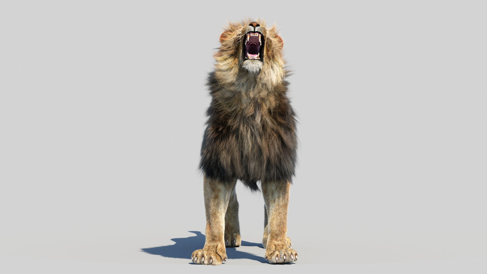 Animated Lion 3D Model Fur 360° view 6 frame 25