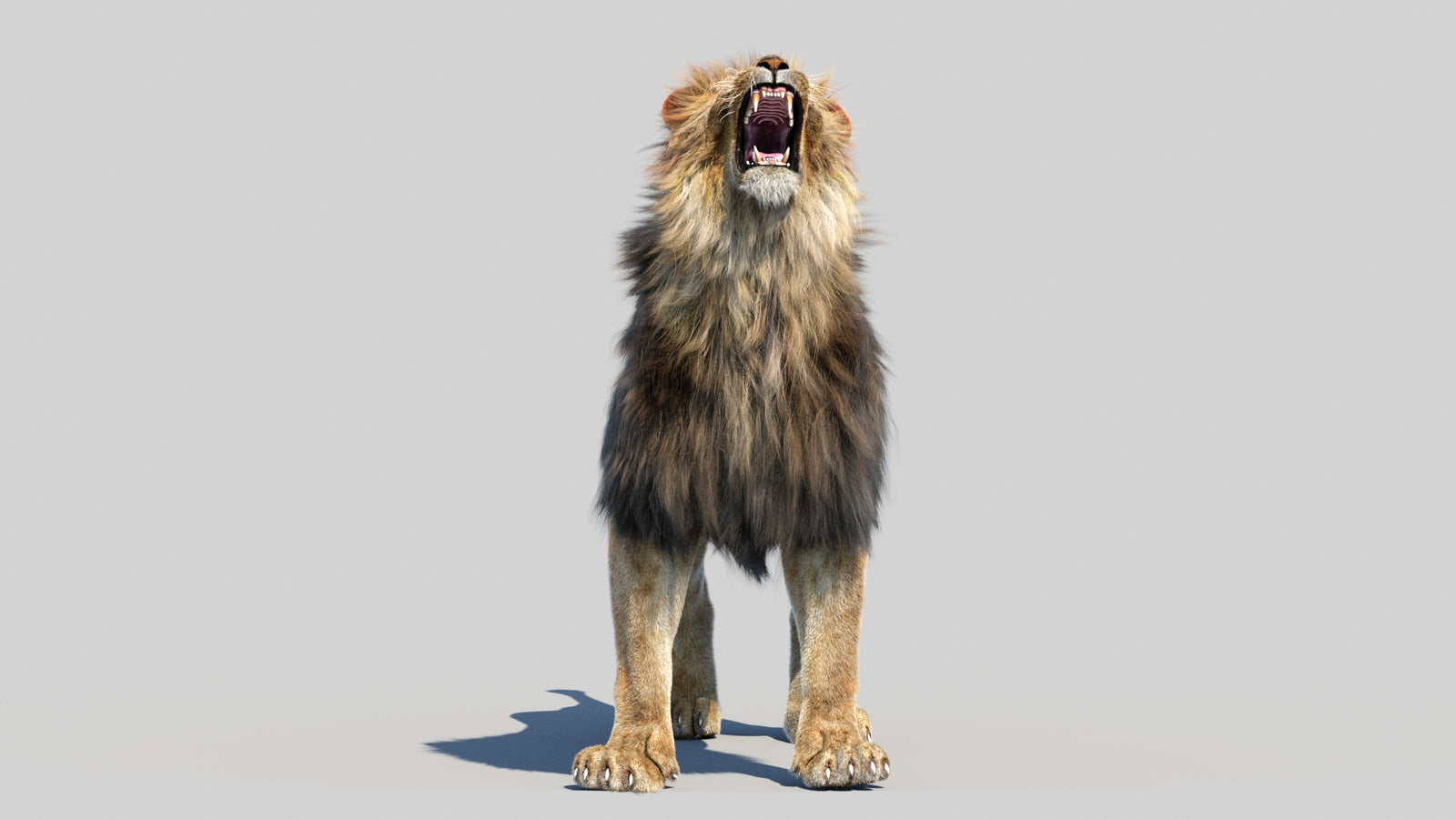 Animated Lion 3D Model Fur 360° view 6 frame 27