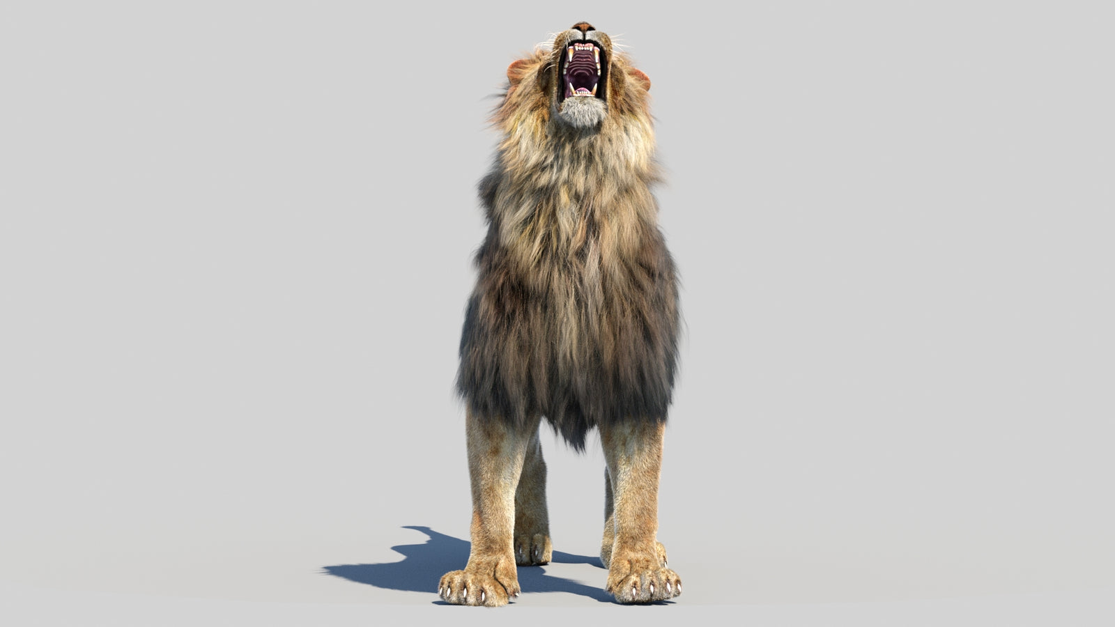 Animated Lion 3D Model Fur 360° view 6 frame 52