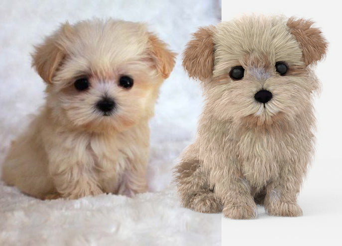 Original Photos and Animated Maltipoo Dog Puppy 3D Model Alpha Hair 