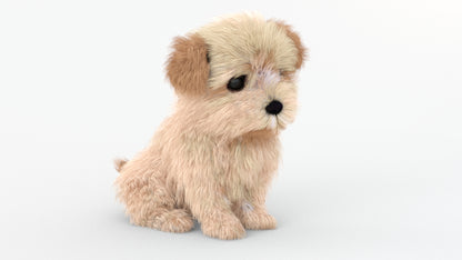 Rigged Maltipoo Dog Puppy Polygonal Fur 3D Model