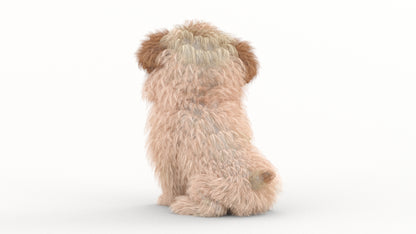 Rigged Maltipoo Dog Puppy Polygonal Fur 3D Model