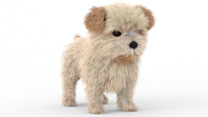 Rigged Maltipoo Dog Puppy Polygonal Fur 3D Model