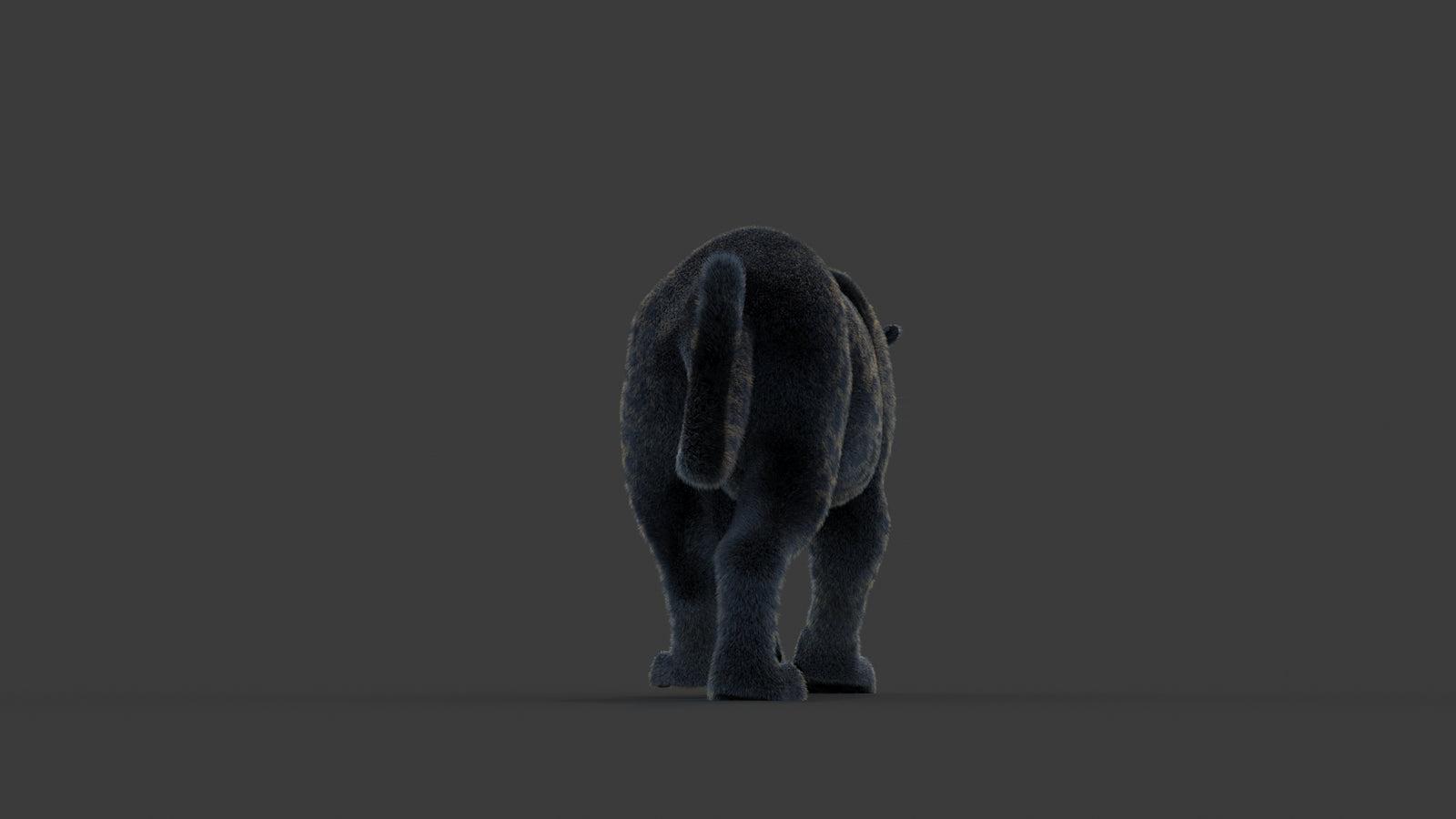 Animated Black Panther Animal 3D Model with Fur 360° view 1 frame 17
