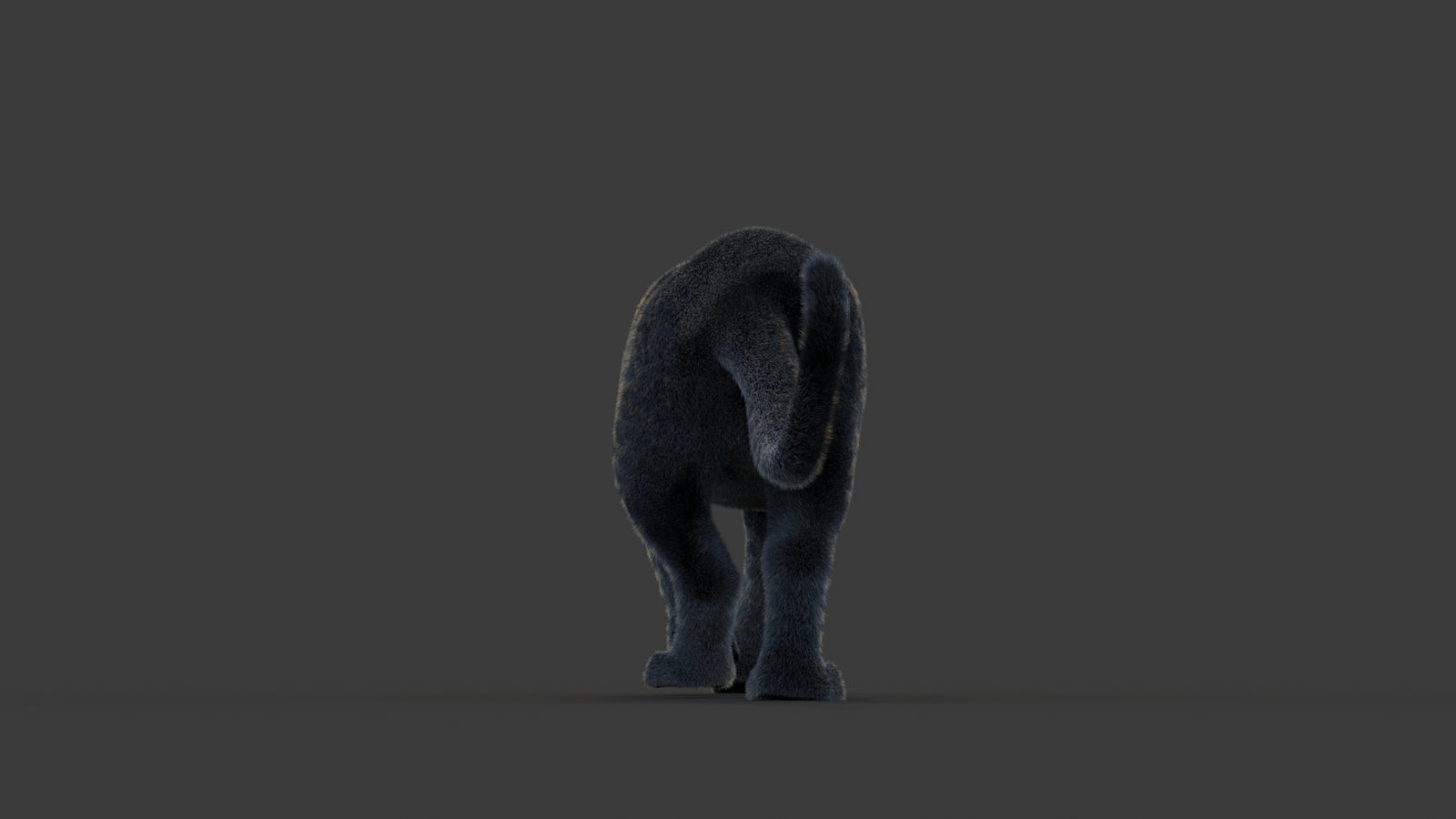 Animated Black Panther Animal 3D Model with Fur 360° view 1 frame 18