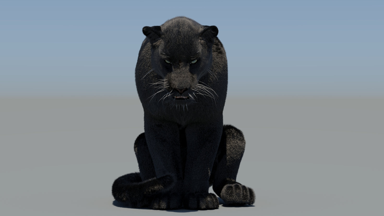 Animated Black Panther 3D Model Fur 360° view 6 frame 23