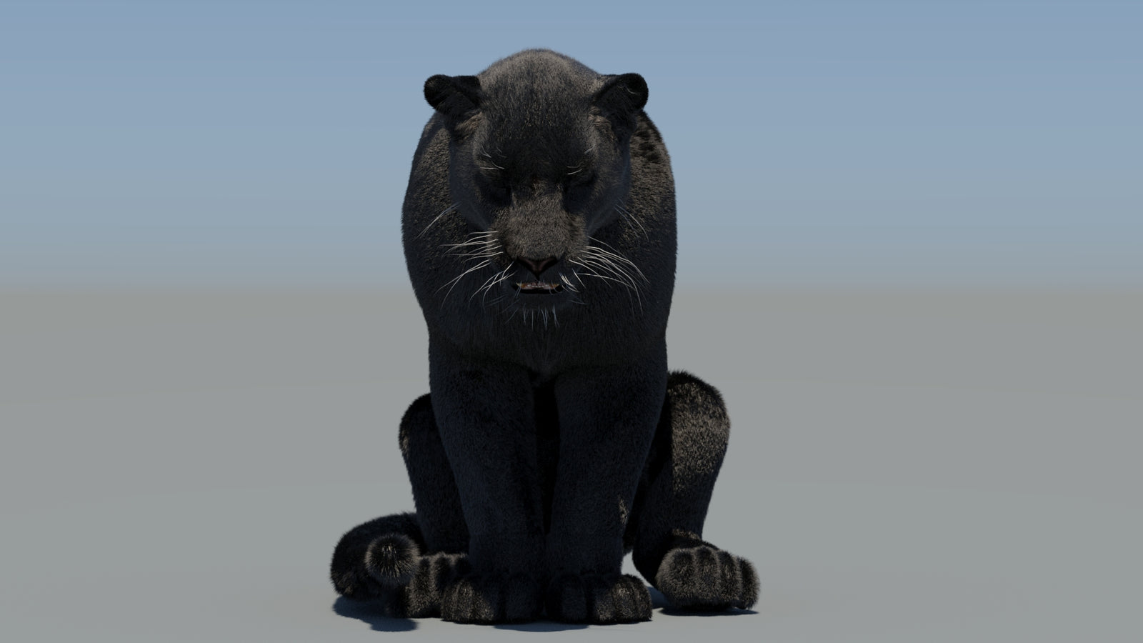 Animated Black Panther 3D Model Fur 360° view 6 frame 26