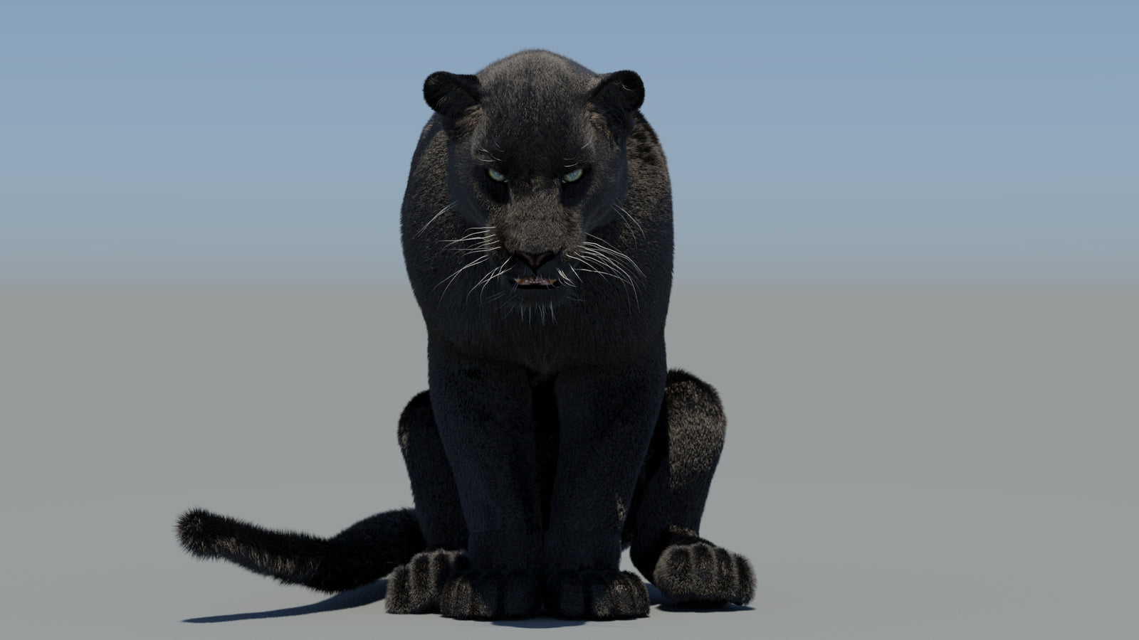 Animated Black Panther 3D Model Fur 360° view 6 frame 28