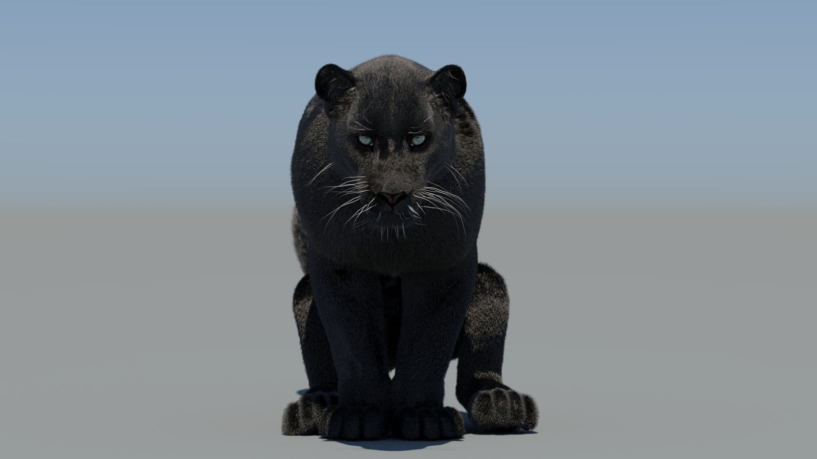 Animated Black Panther 3D Model Fur 360° view 6 frame 35