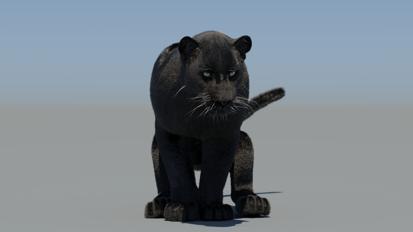 Animated Black Panther 3D Model Fur 360° view 6 frame 39