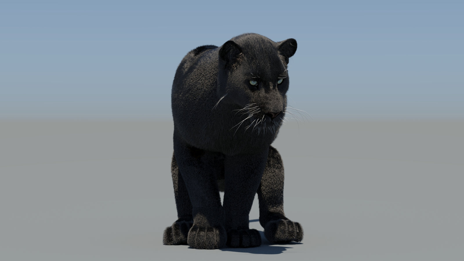 Animated Black Panther 3D Model Fur 360° view 6 frame 40