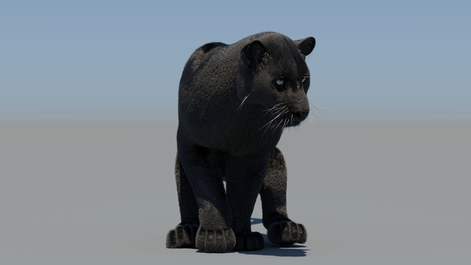 Animated Black Panther 3D Model Fur 360° view 6 frame 41