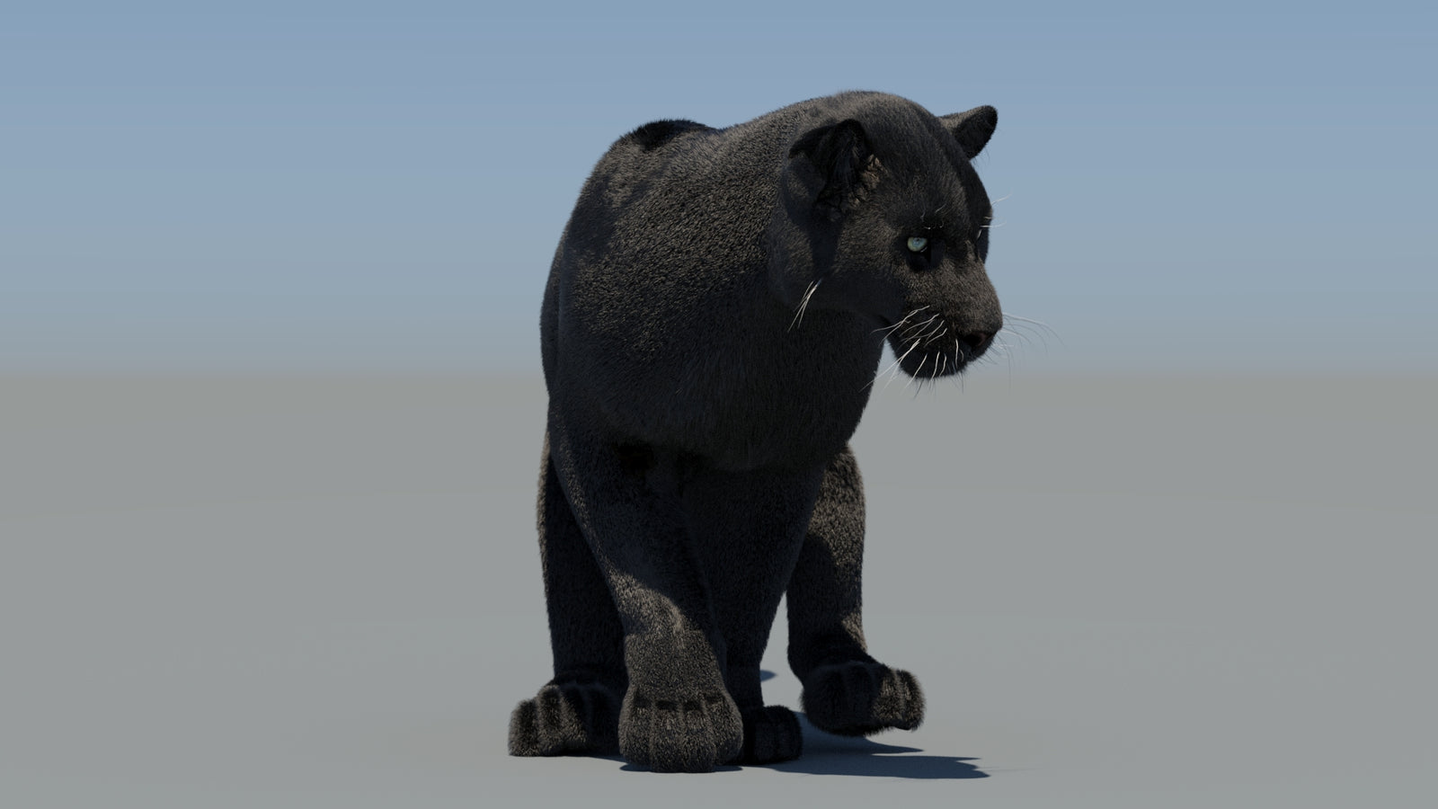 Animated Black Panther 3D Model Fur 360° view 6 frame 42