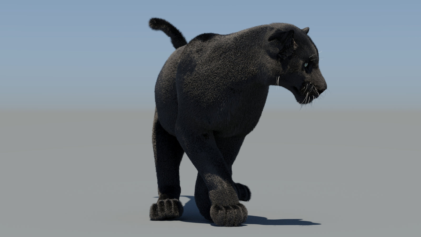 Animated Black Panther 3D Model Fur 360° view 6 frame 44