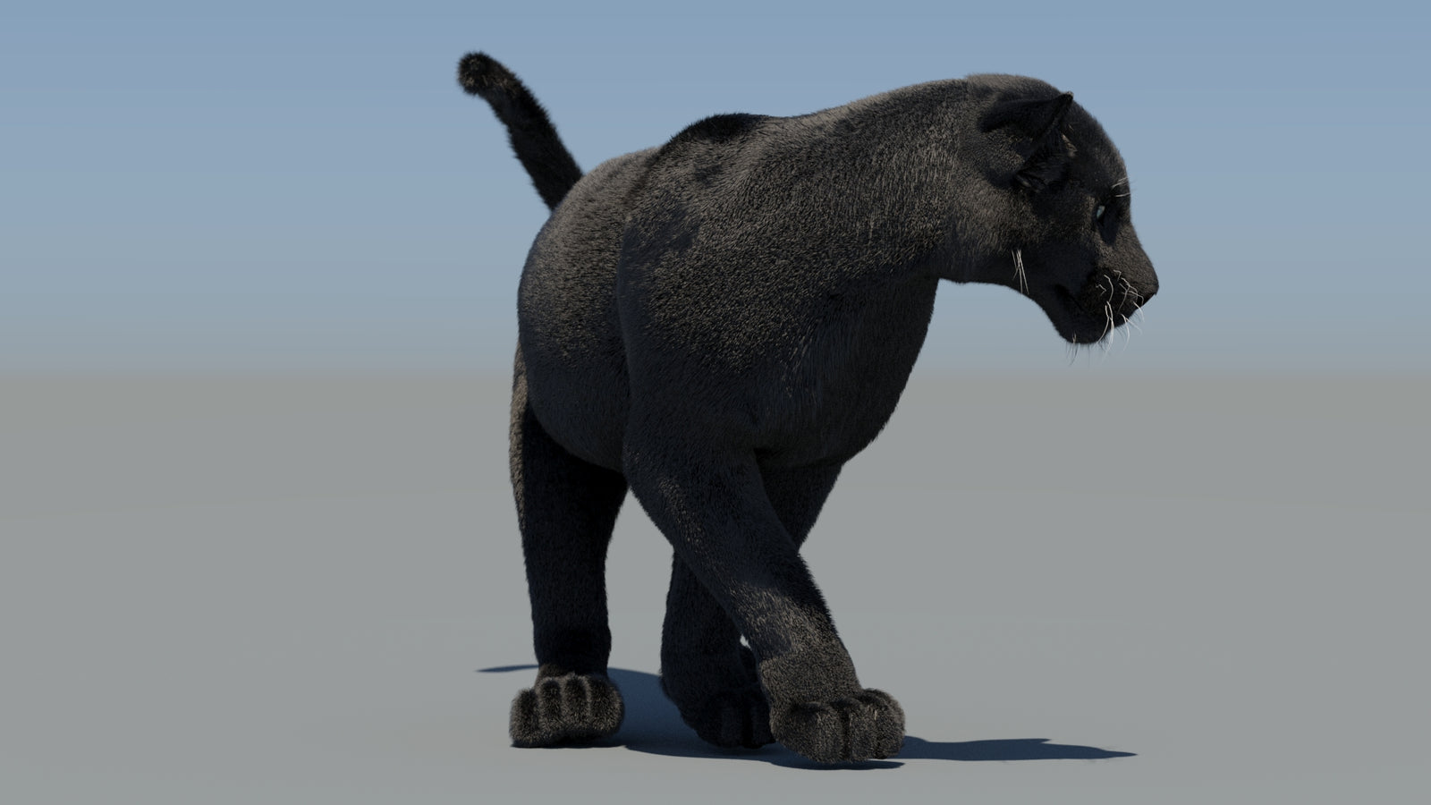 Animated Black Panther 3D Model Fur 360° view 6 frame 45