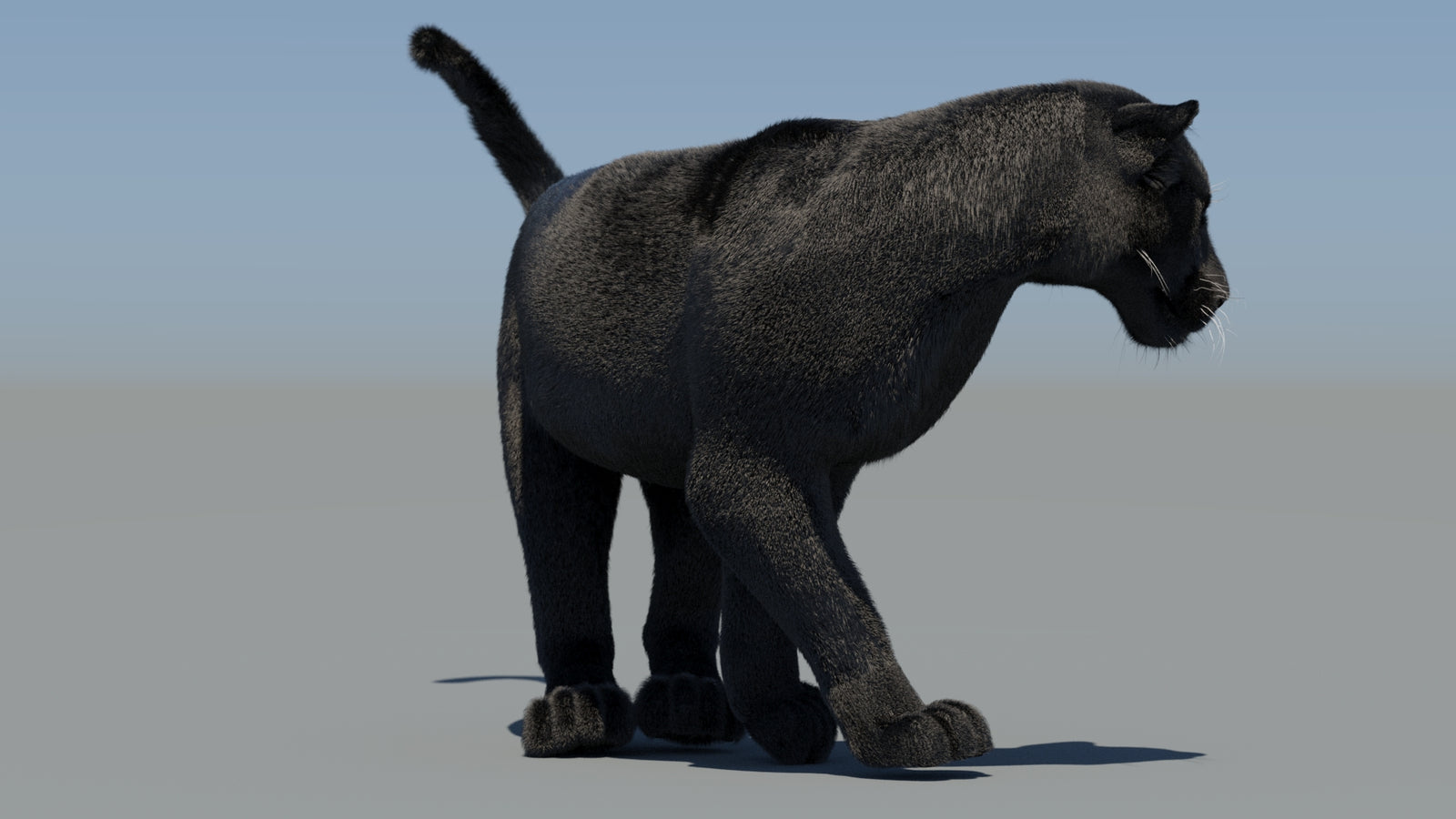 Animated Black Panther 3D Model Fur 360° view 6 frame 47