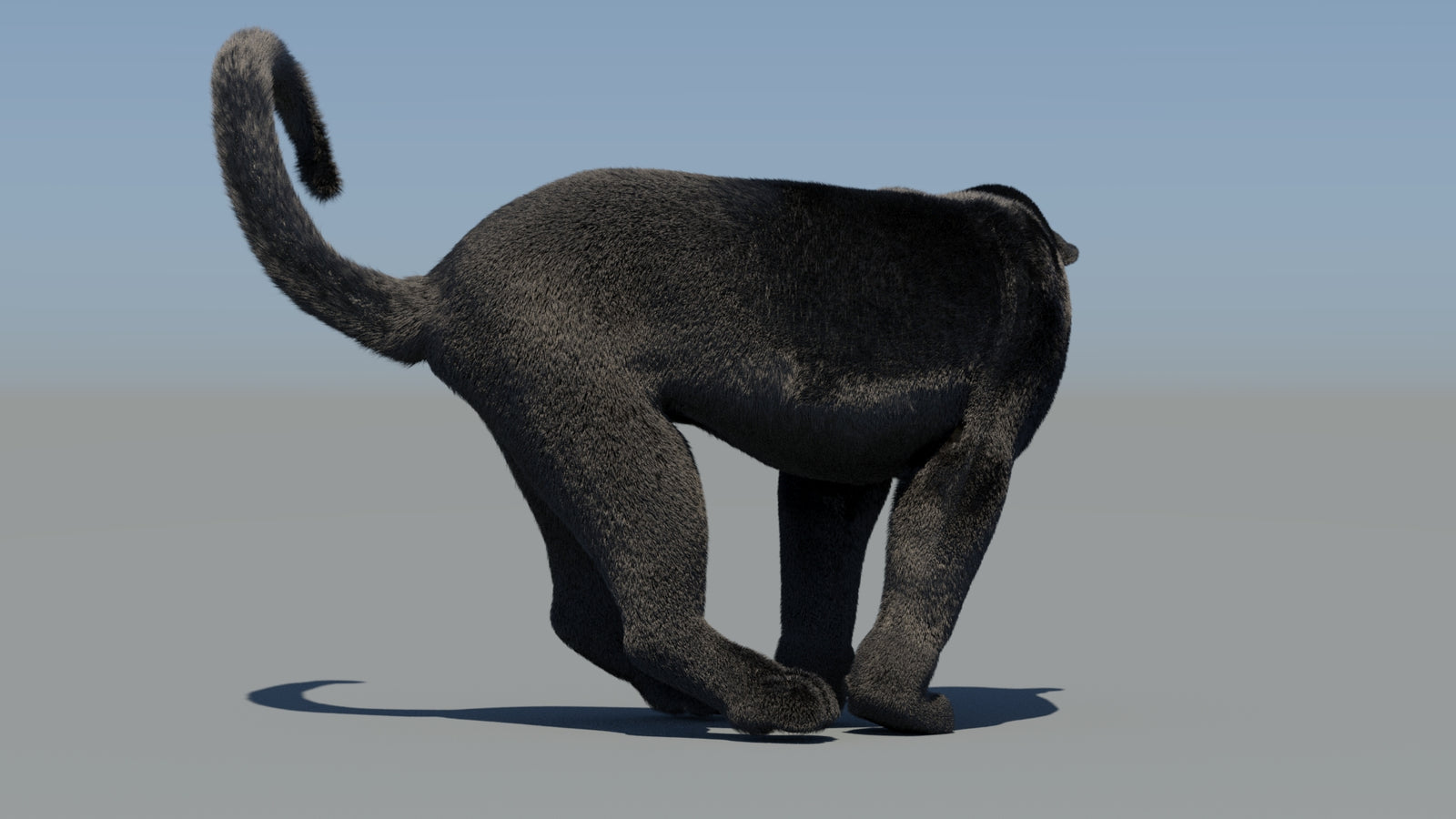 Animated Black Panther 3D Model Fur 360° view 6 frame 59