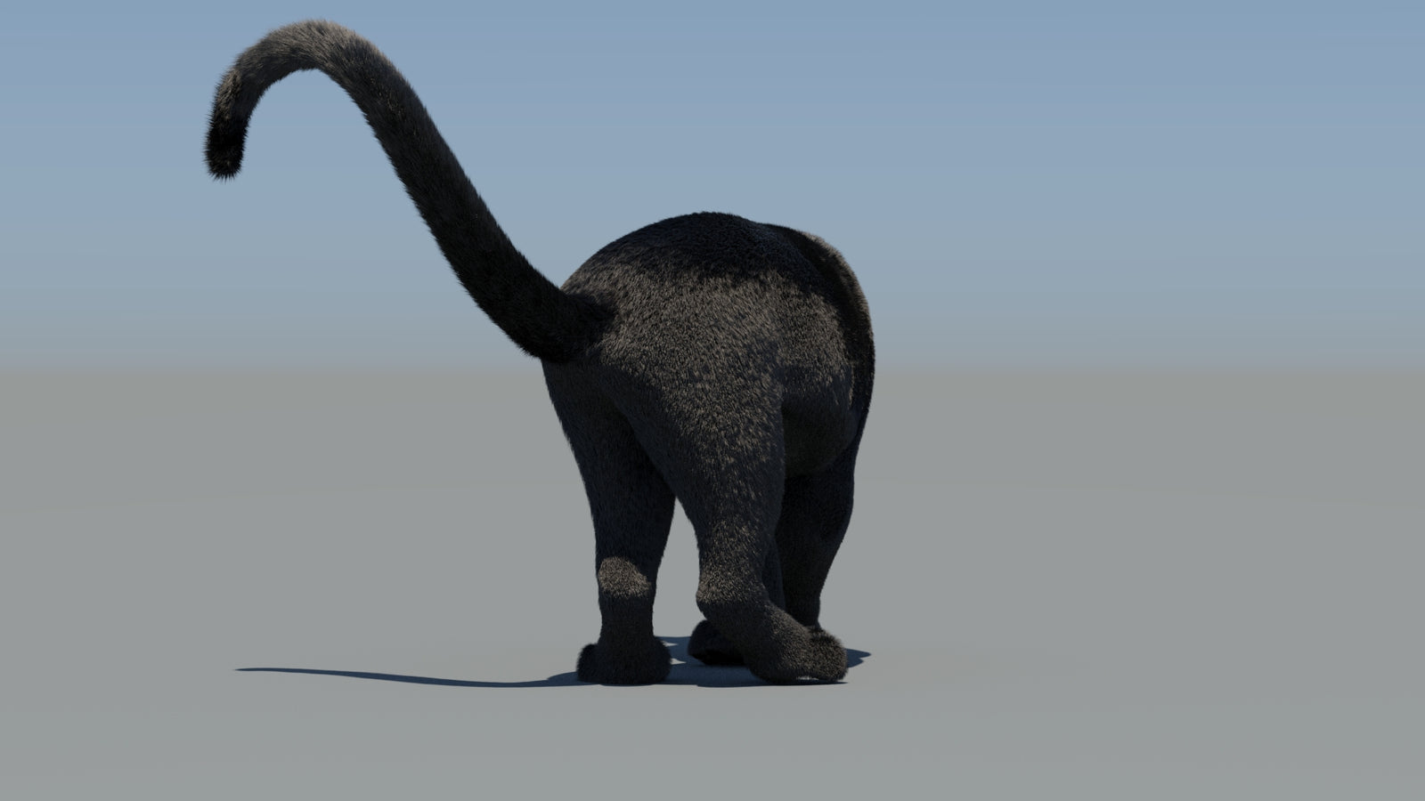 Animated Black Panther 3D Model Fur 360° view 6 frame 71