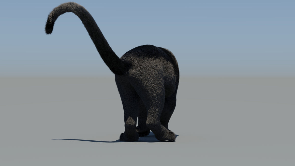 Animated Black Panther 3D Model Fur - 360 Degree View