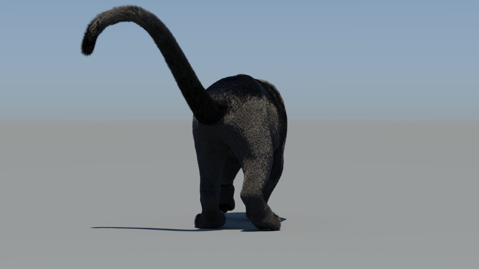 Animated Black Panther 3D Model Fur 360° view 6 frame 2