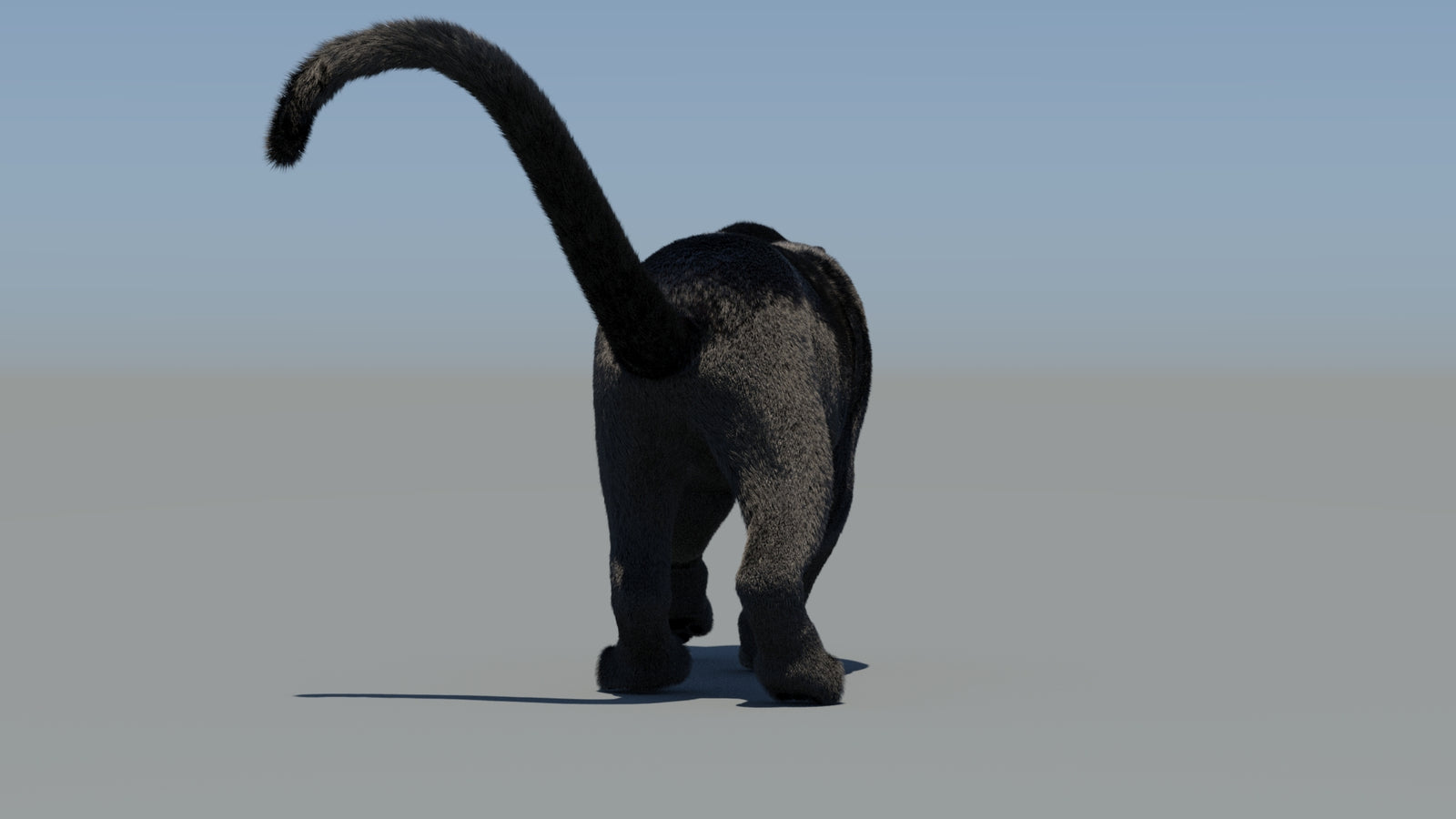 Animated Black Panther 3D Model Fur 360° view 6 frame 3