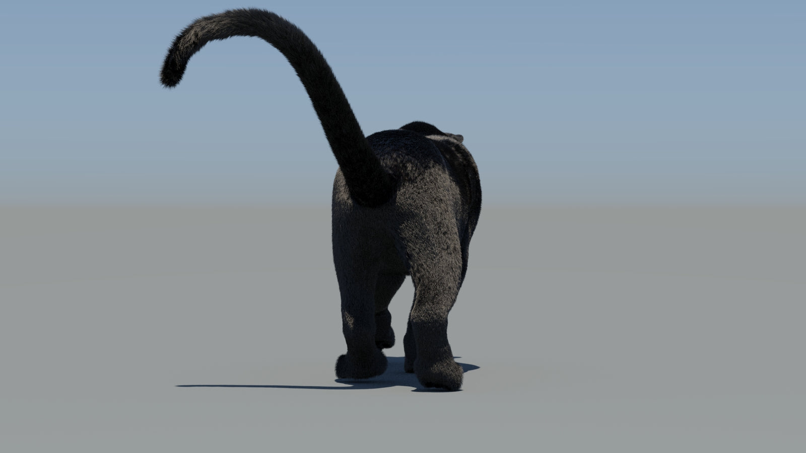 Animated Black Panther 3D Model Fur 360° view 6 frame 4