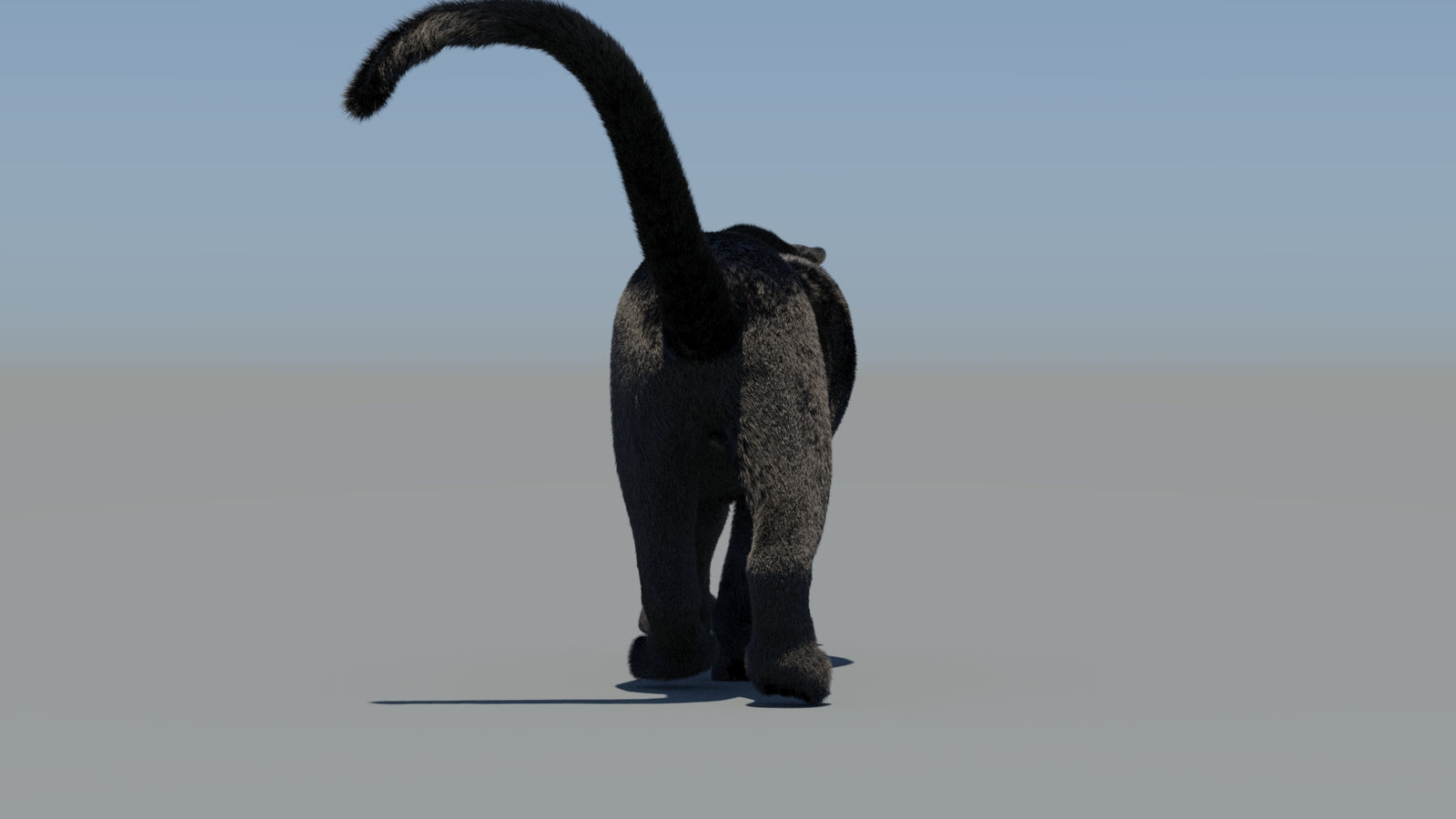 Animated Black Panther 3D Model Fur 360° view 6 frame 6