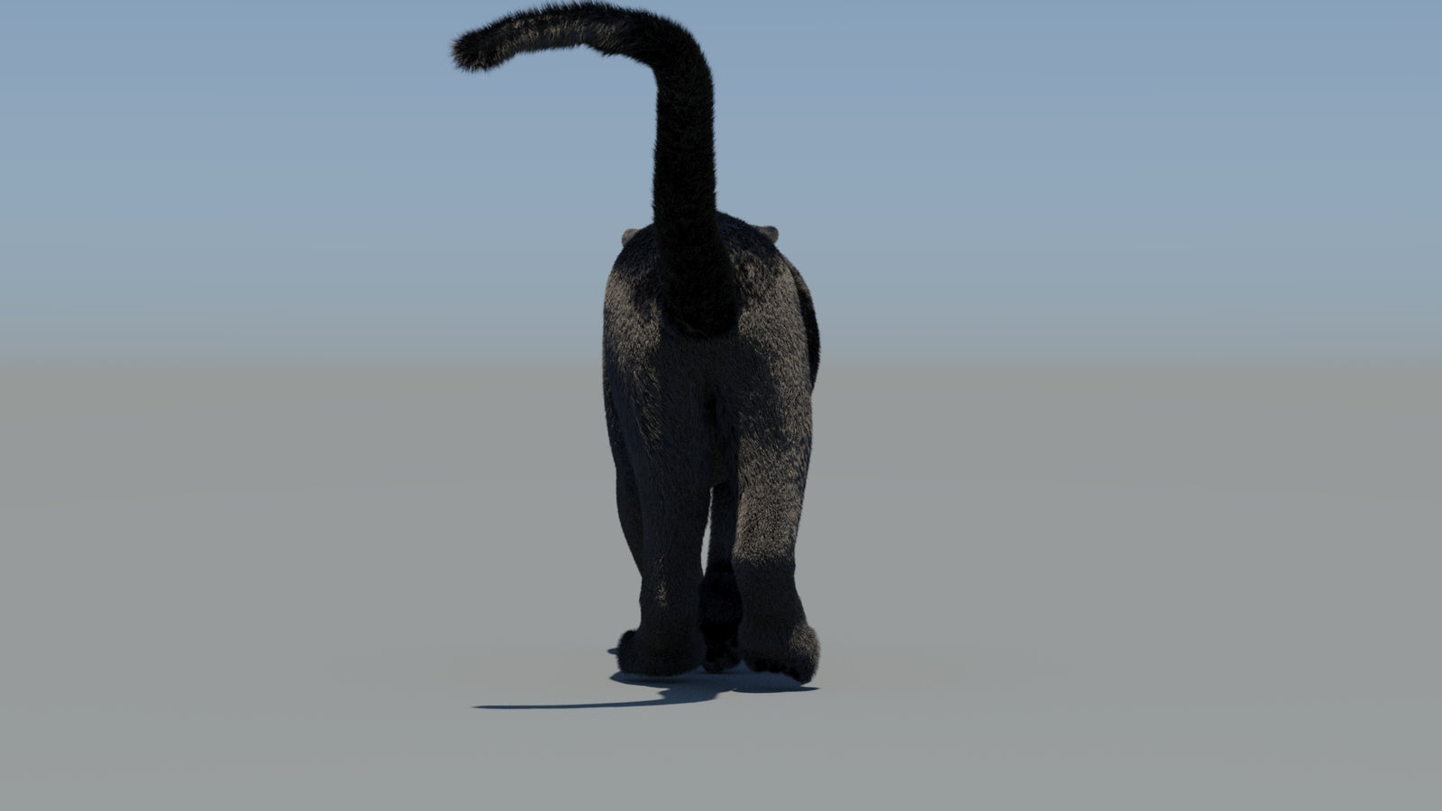 Animated Black Panther 3D Model Fur 360° view 6 frame 9