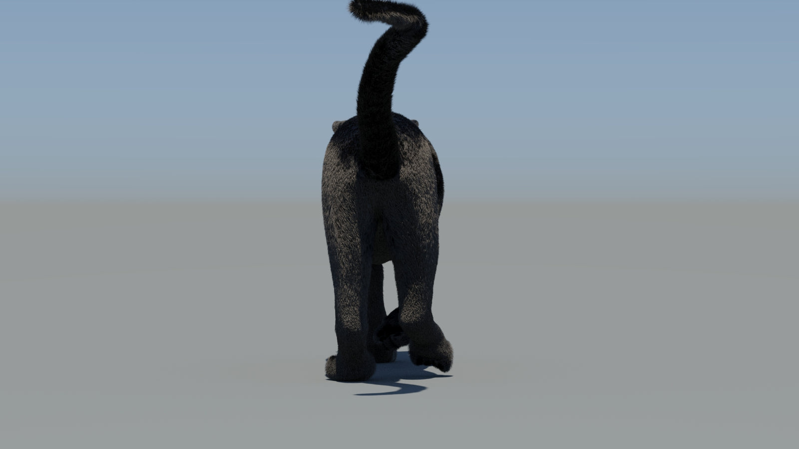 Animated Black Panther 3D Model Fur 360° view 6 frame 12